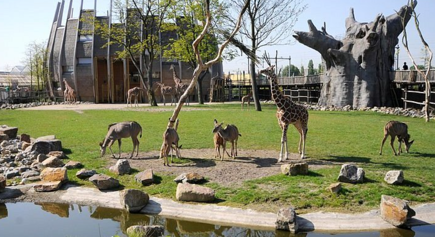 Mini Efteling, Netherlands